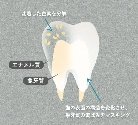 エナメル質に沈着した色素の分解・漂白