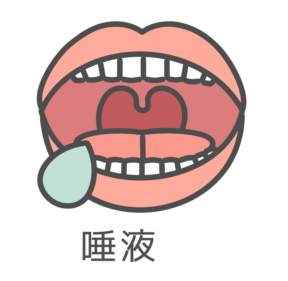 唾液　歯科矯正　虫歯