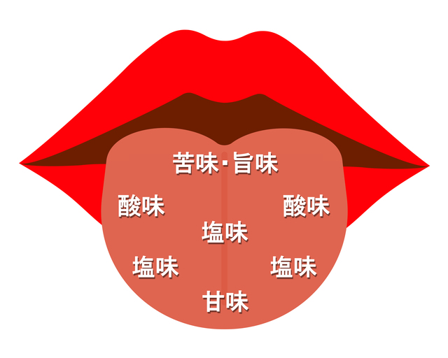 舌 味覚 歯列矯正
